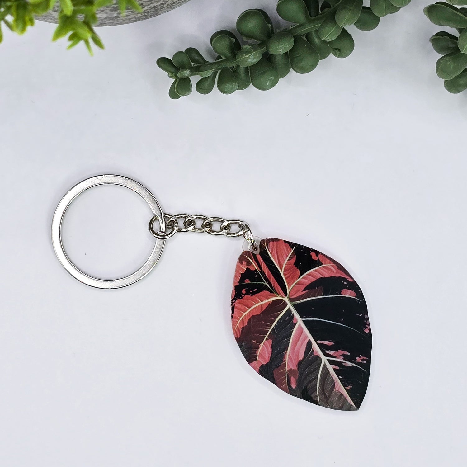 Alocasia Black Velvet Variegated Acrylic Houseplant Keyring