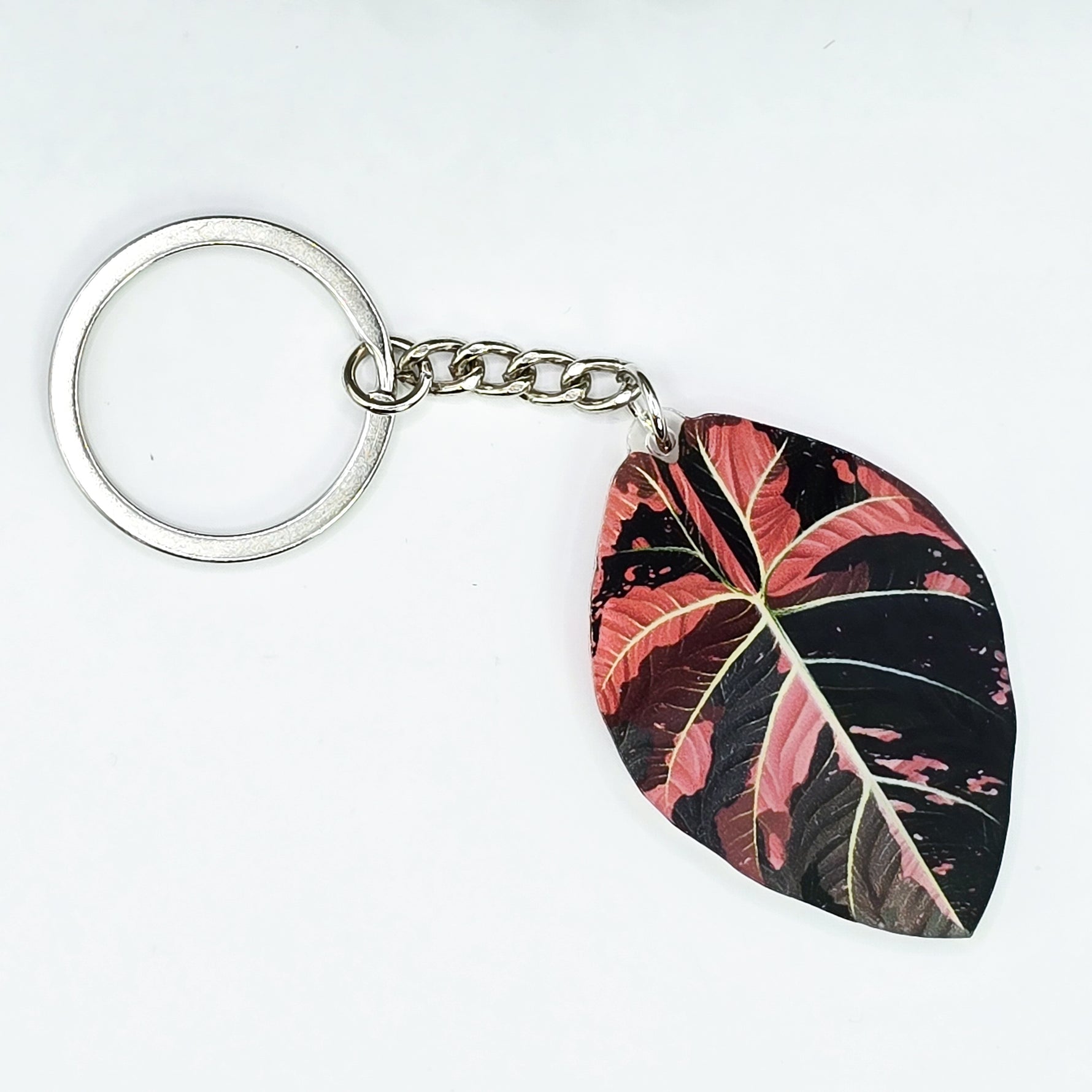 Alocasia Black Velvet Variegated keyring