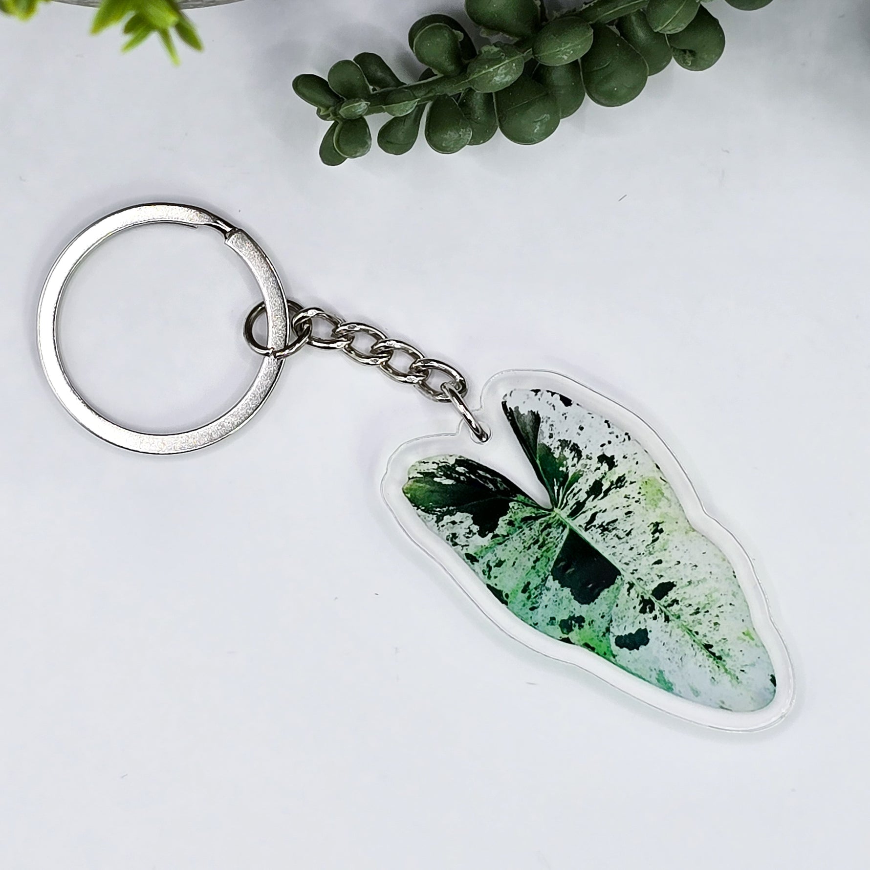 Philodendron Ilsemanii Variegated keyring