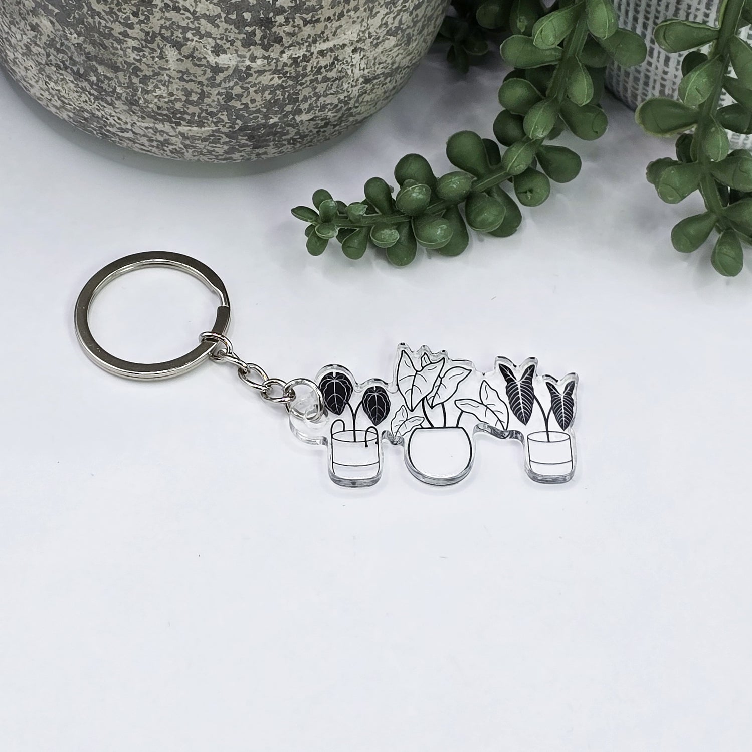 Rare Potted Houseplants Clear Acrylic Keyring