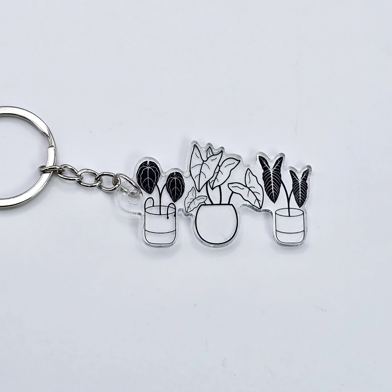 Rare Potted Houseplants Clear Acrylic Keyring