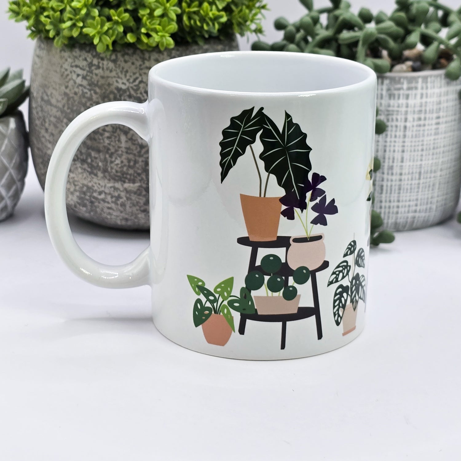 Rare Houseplants on shelves 11oz Ceramic Mug