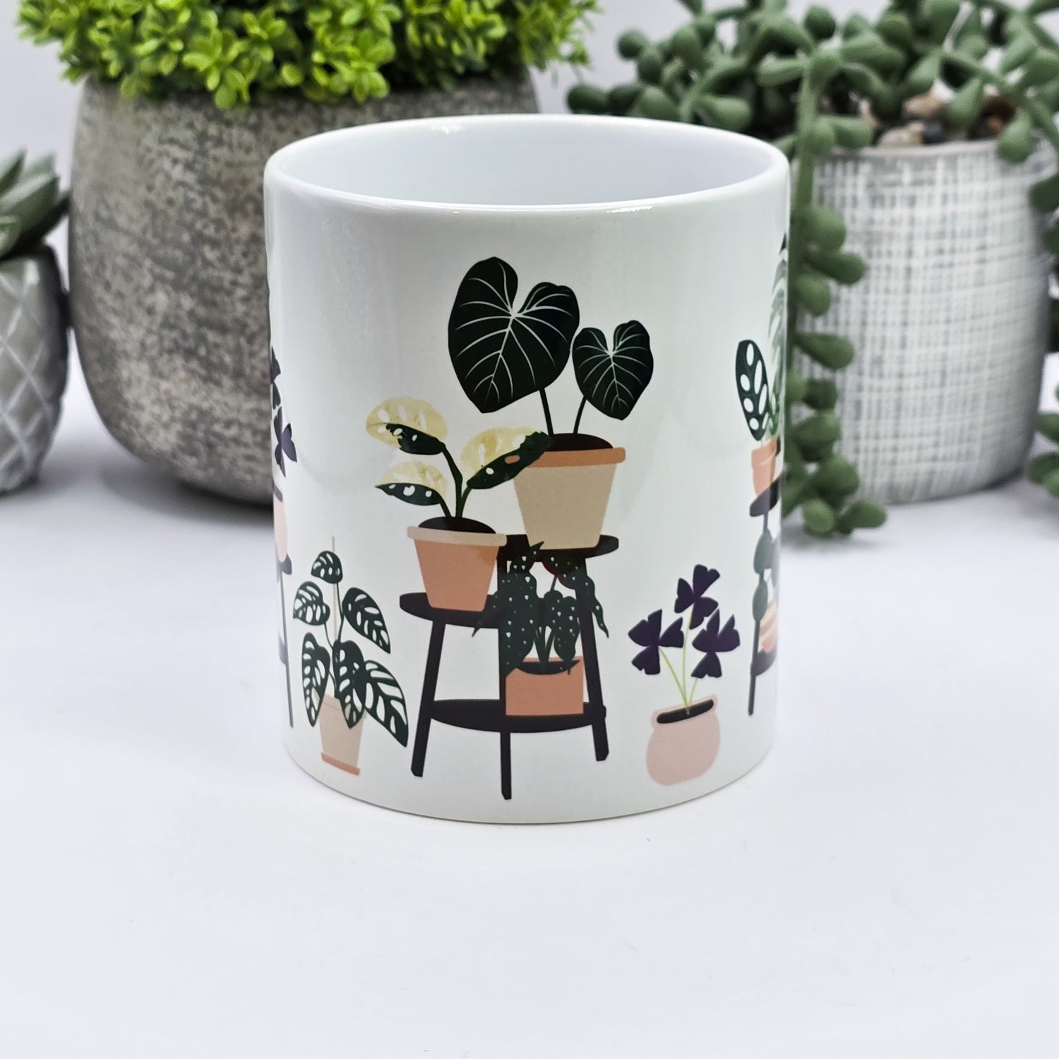 Rare Houseplants on shelves 11oz Ceramic Mug