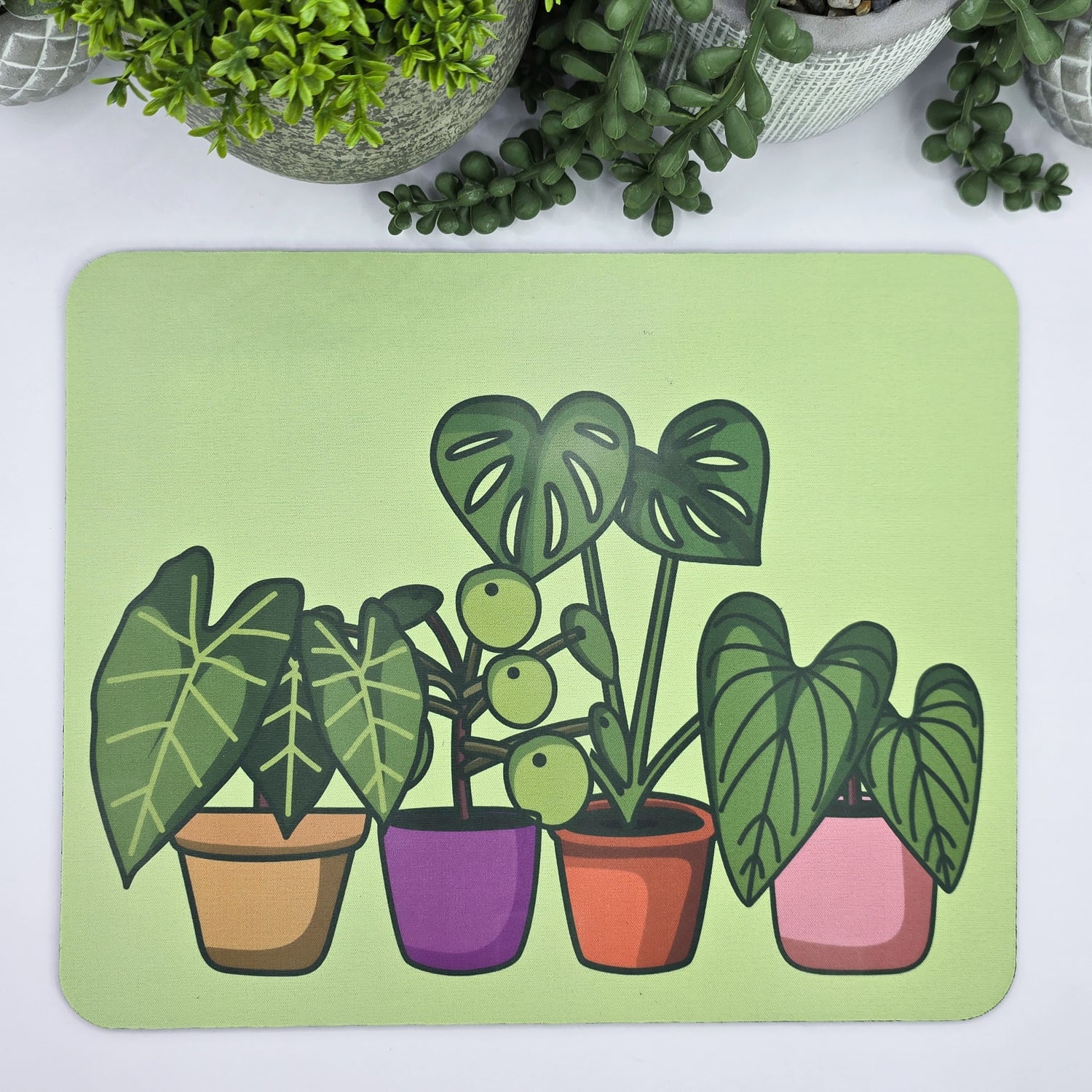 Bright Potted Houseplants Mousepad