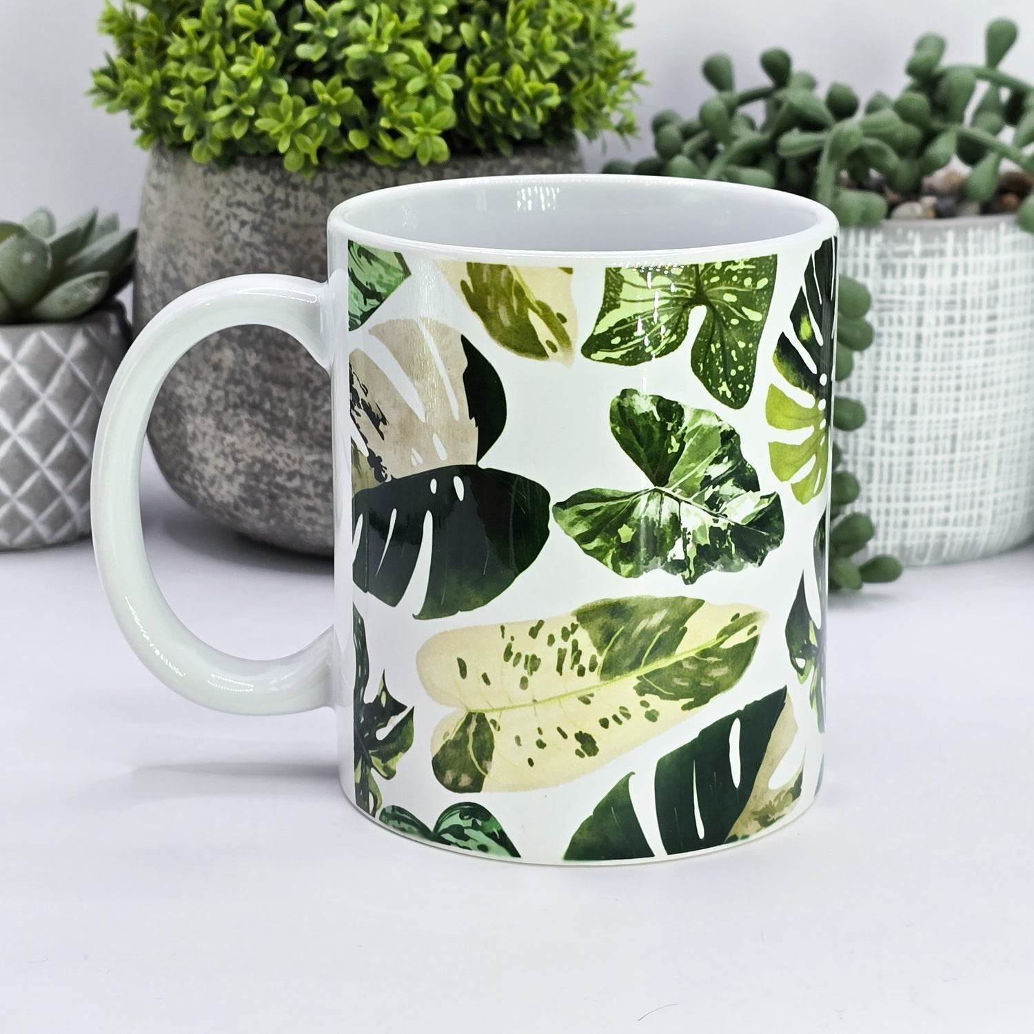 'All The Leaves' Variegated Houseplants 11oz Ceramic Mug