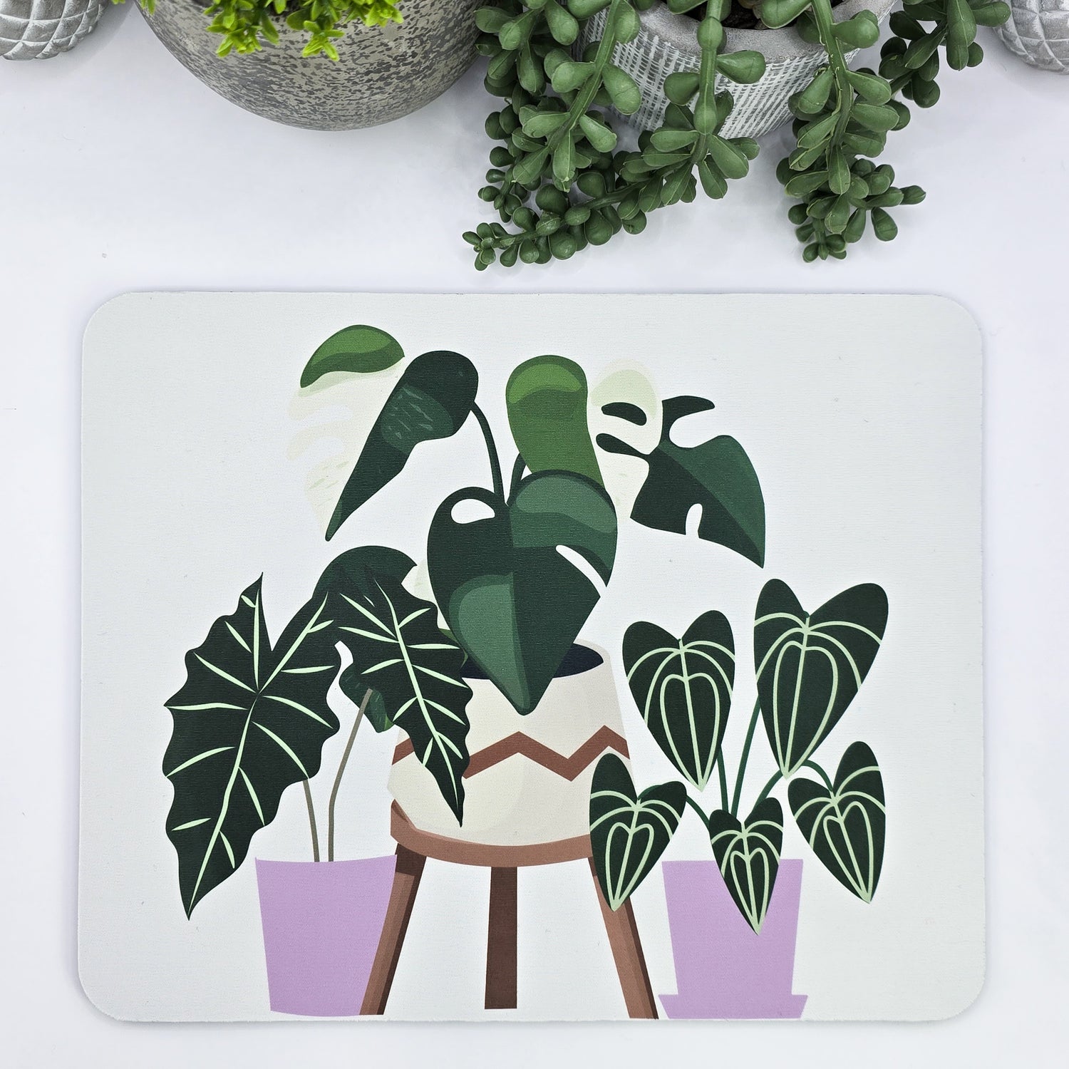 Rare Houseplants With Purple Pots Mousepad