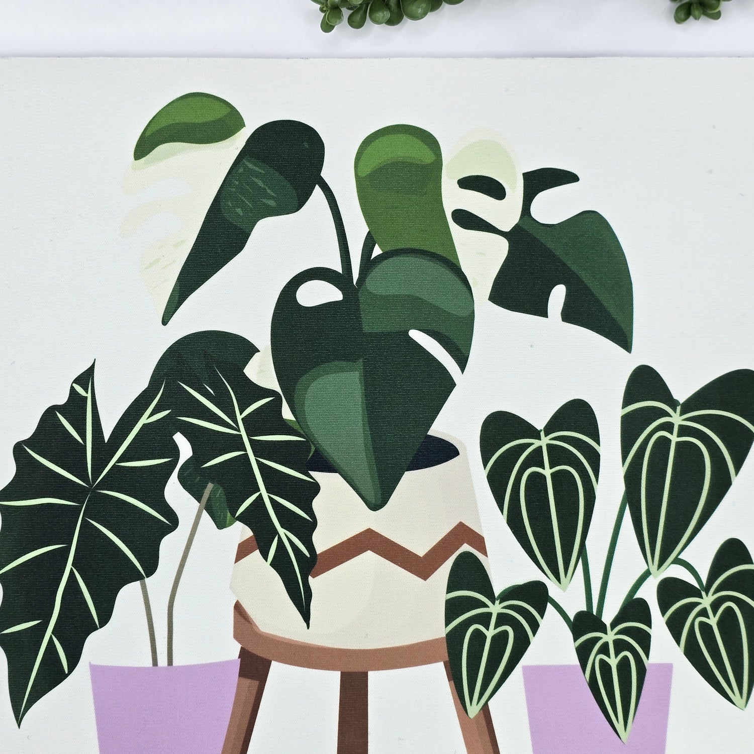 Rare Houseplants With Purple Pots Mousepad