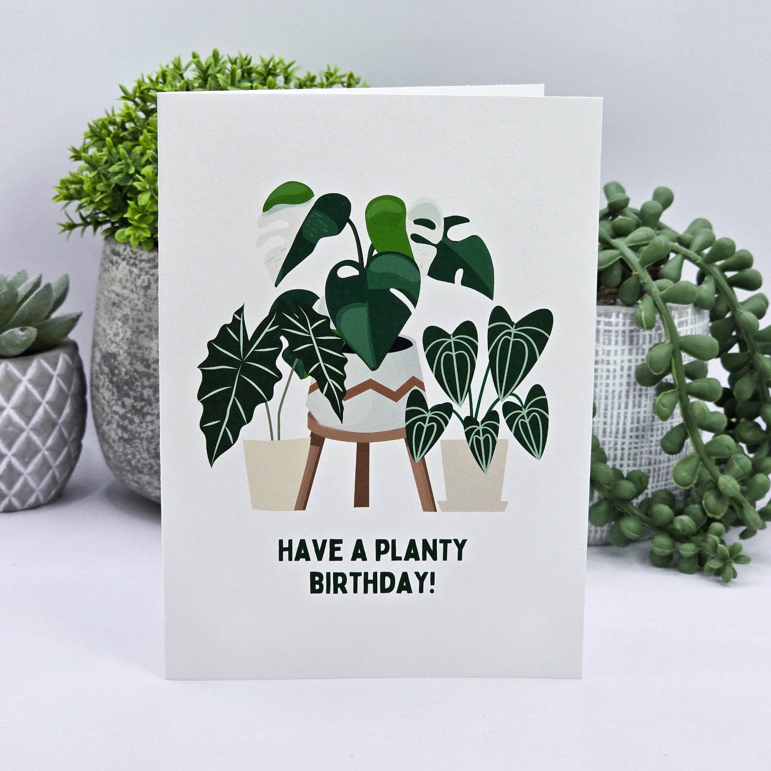 Have a Planty Birthday! Rare houseplants Birthday Greeting Card