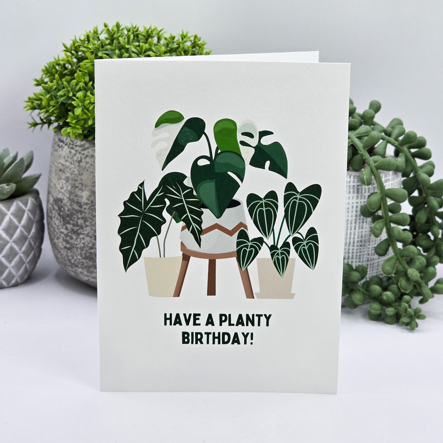 Have a Planty Birthday! Rare houseplants Birthday Greeting Card