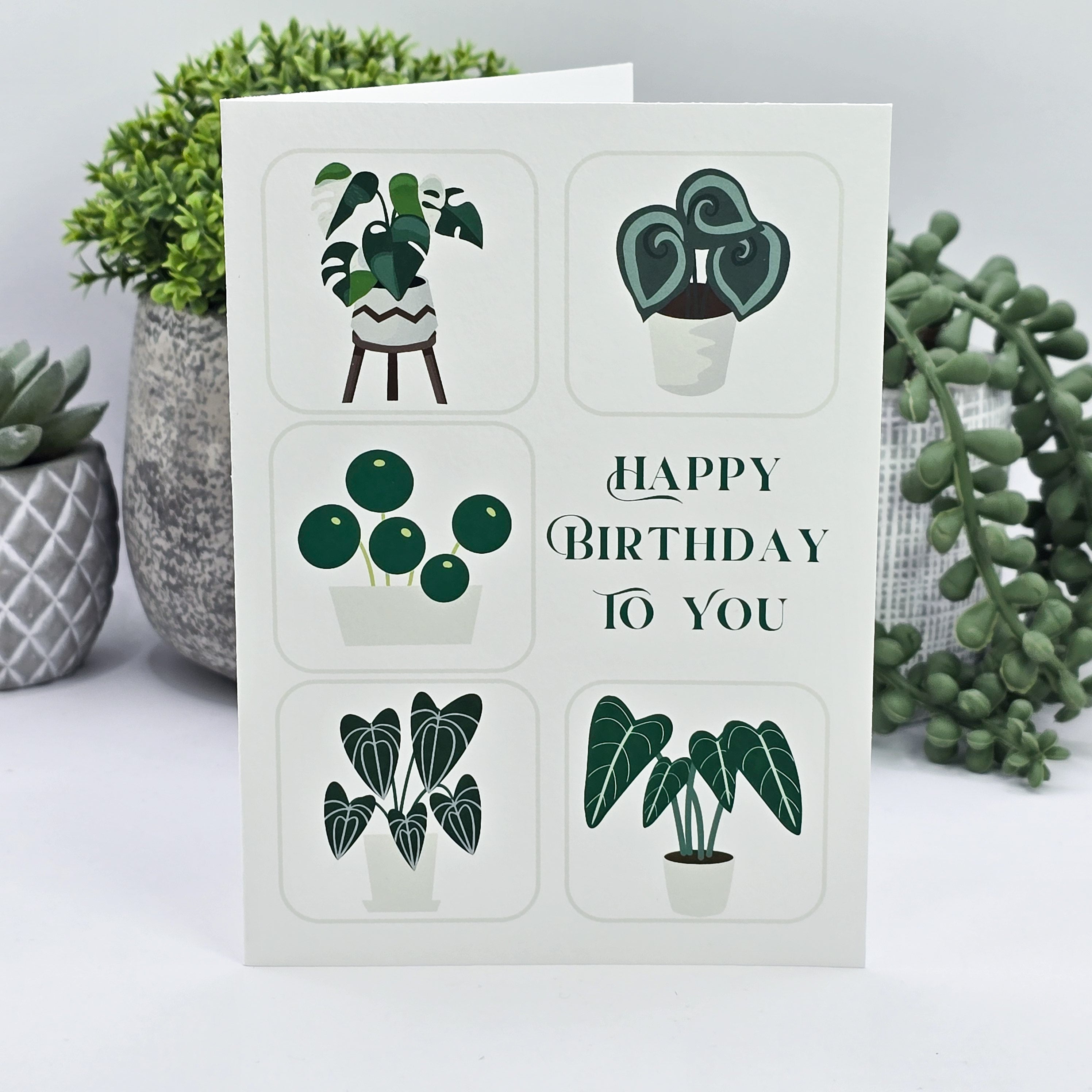 Happy Birthday to You Rare Houseplants Birthday Greeting Card – My Plantasy