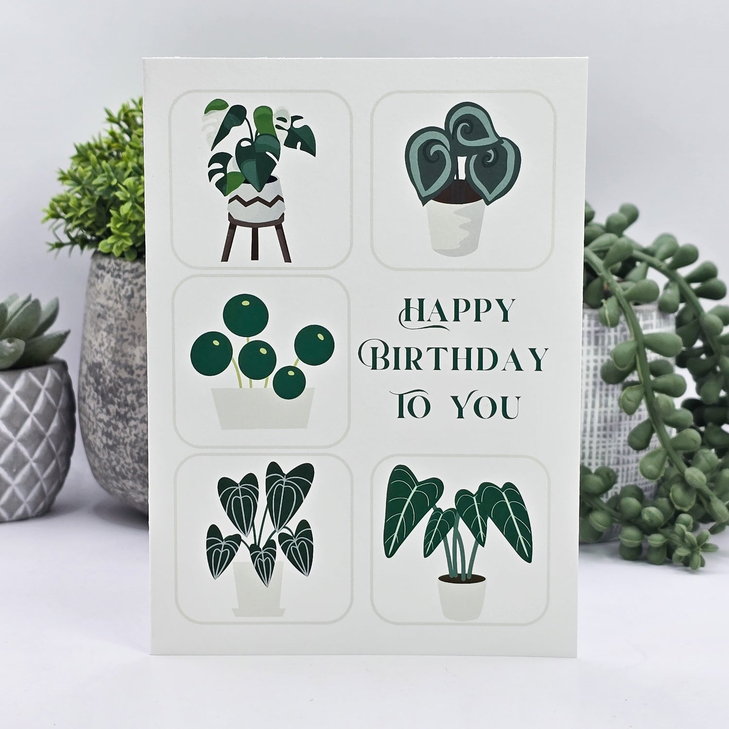 Happy Birthday to You Rare Houseplants Birthday Greeting Card