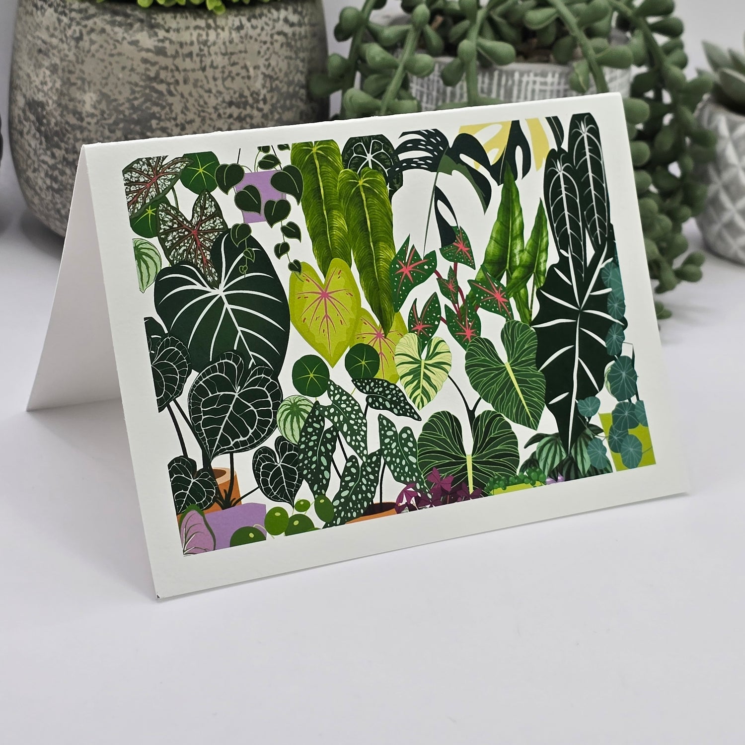 'My Plantasy' Houseplants blank greeting card