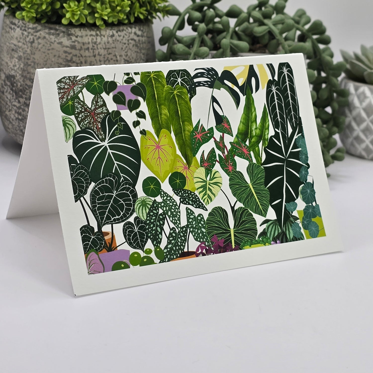 'My Plantasy' Houseplants blank greeting card