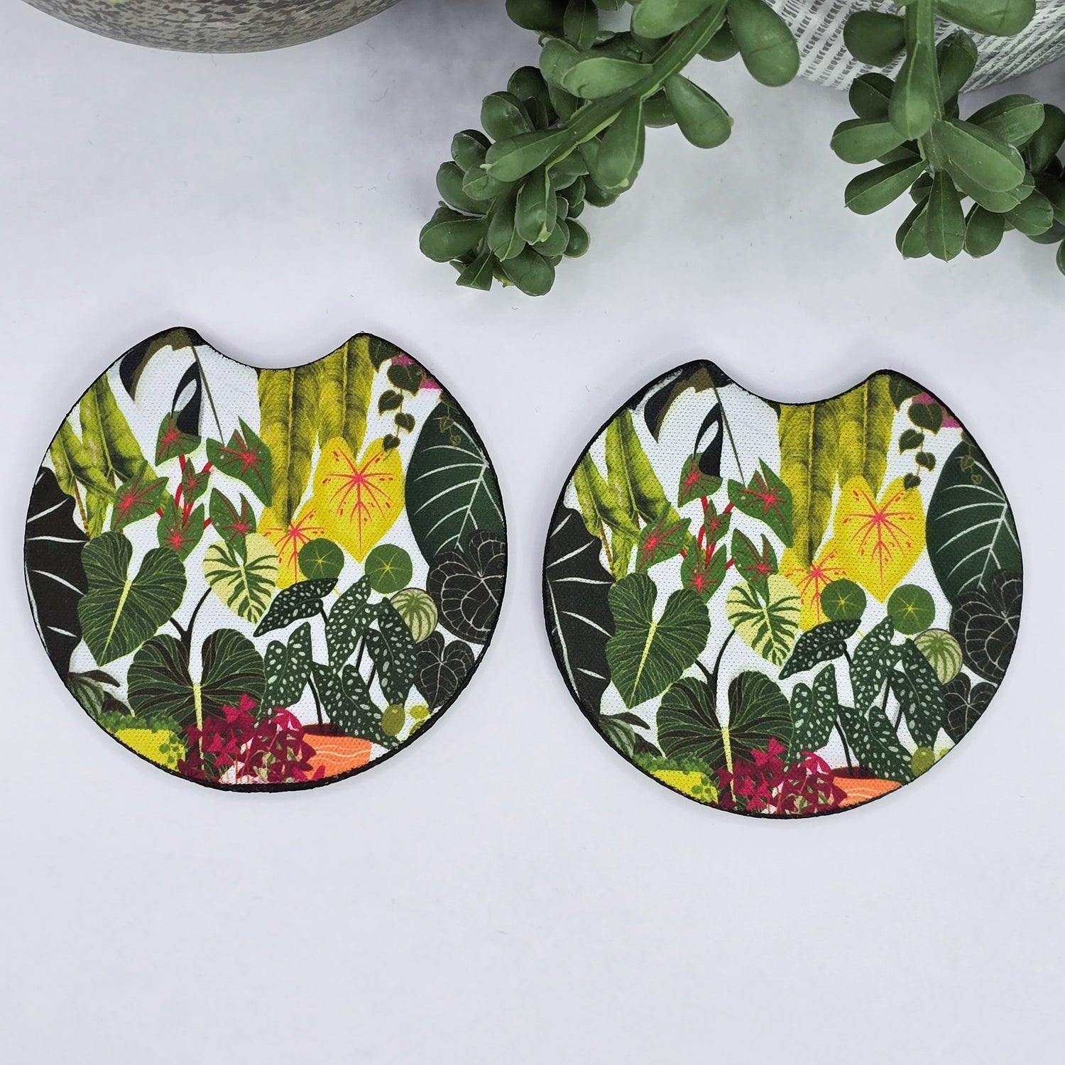 'My Plantasy' Rare Plants Car Coasters - Set of 2