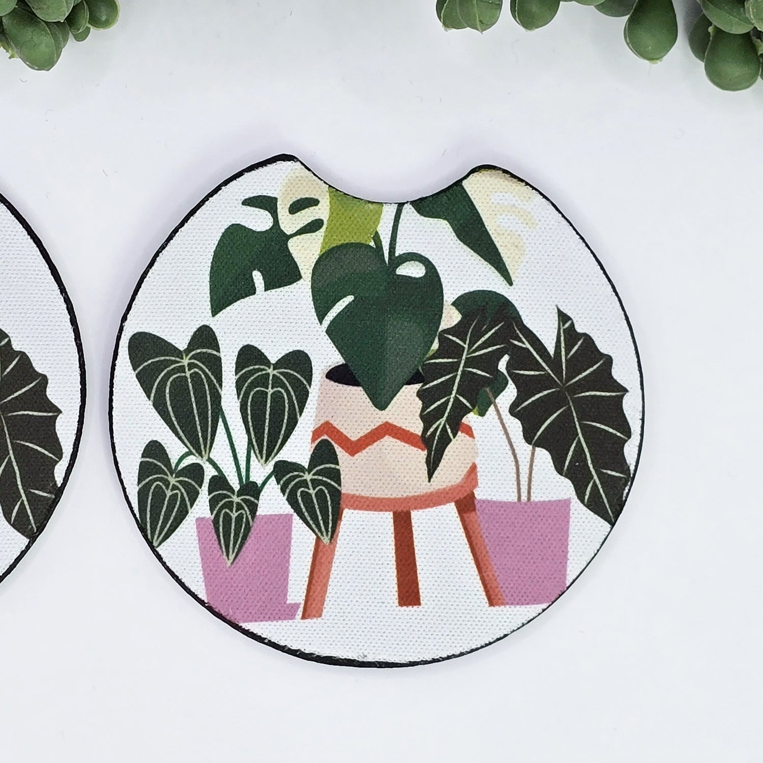 Rare Potted Houseplants Car Coasters - Set of 2