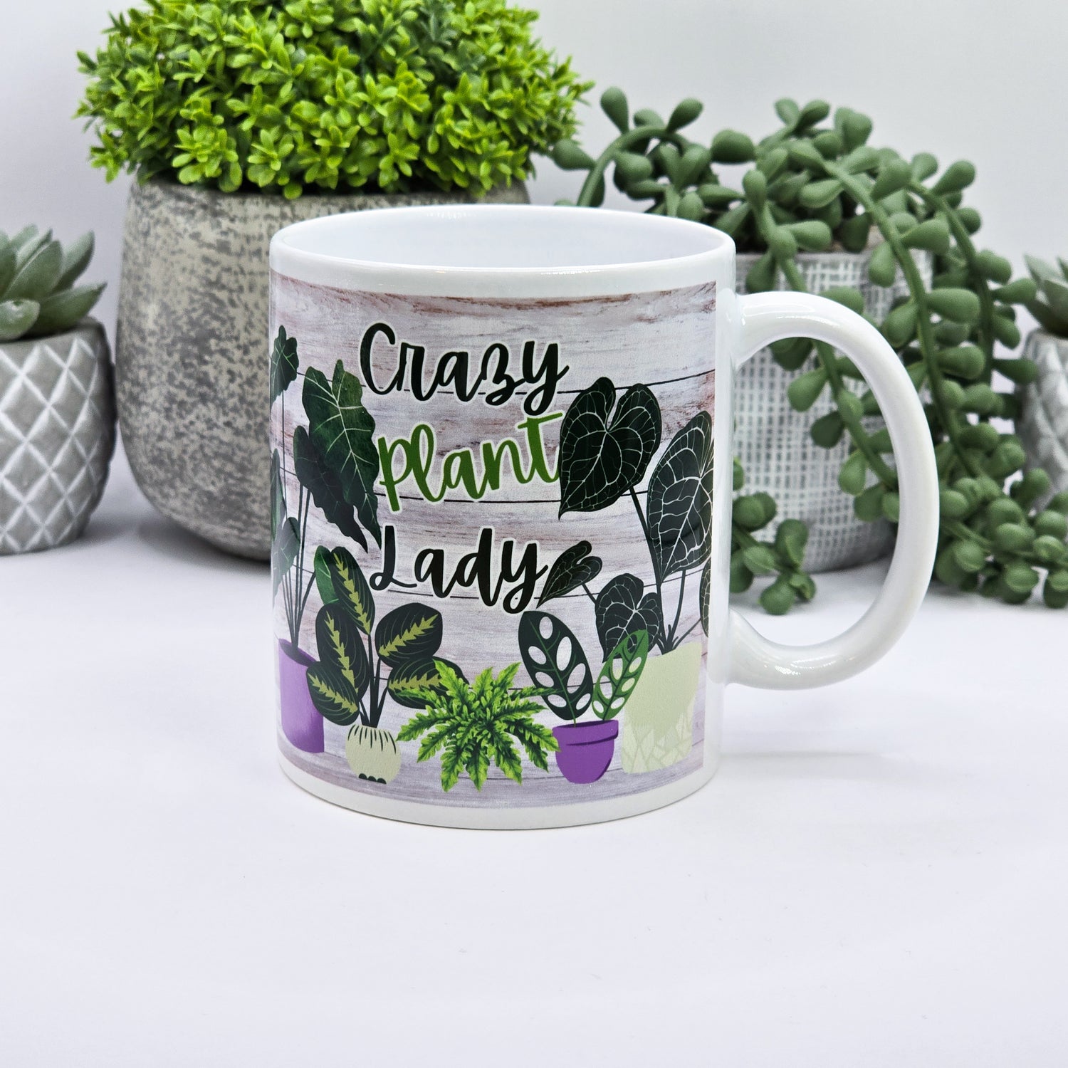 Crazy Plant Lady 11oz Ceramic Houseplant Mug