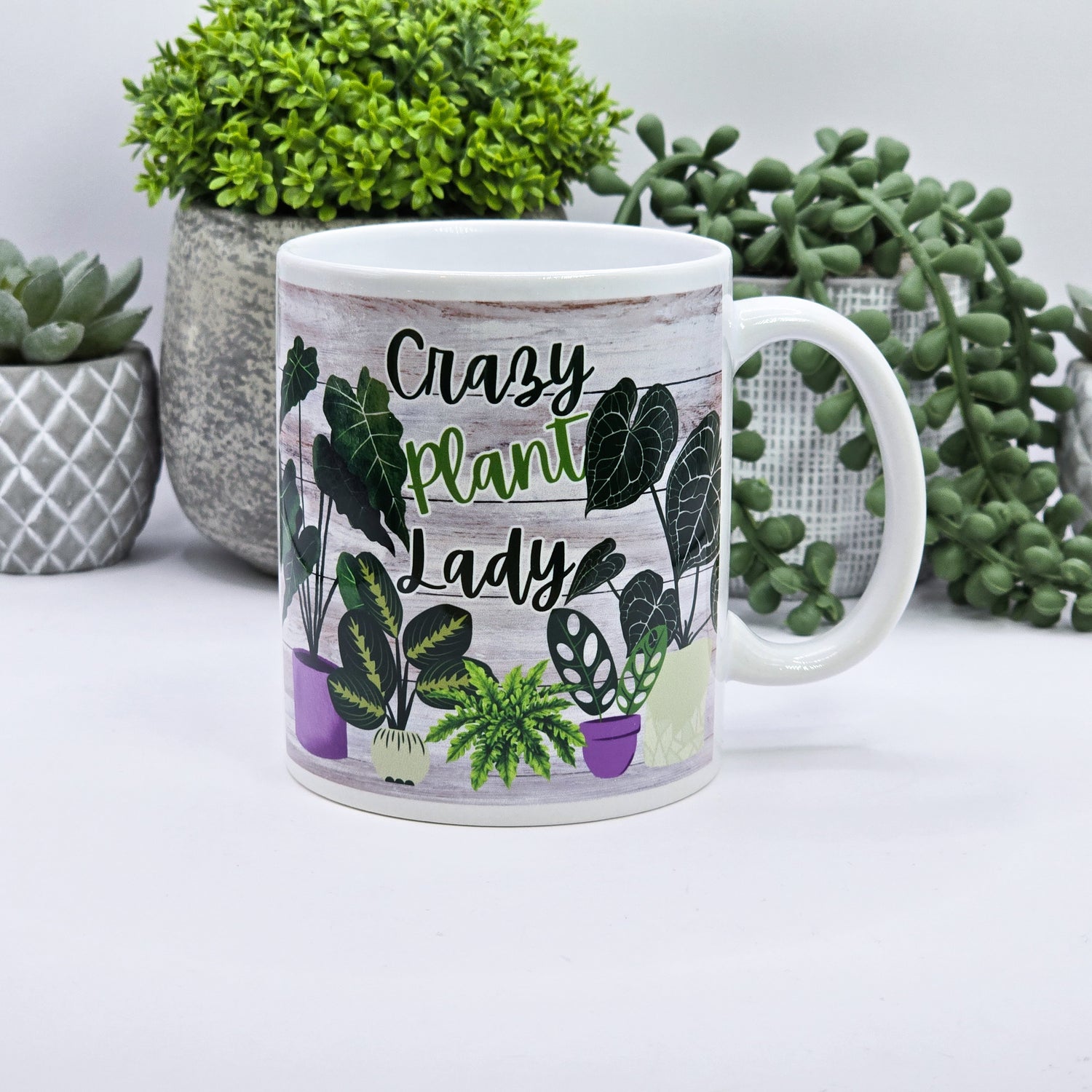 Crazy Plant Lady 11oz Ceramic Houseplant Mug