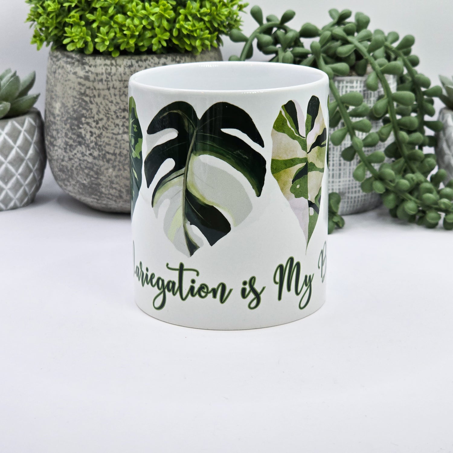 Variegation is My Bling 11oz Ceramic Houseplant Mug