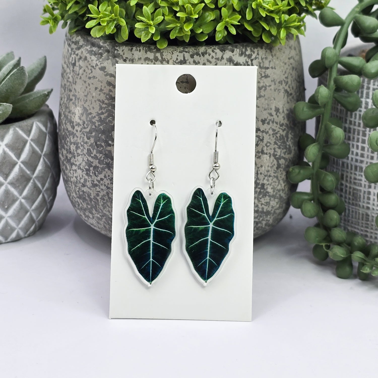 Alocasia Frydek Acrylic Plant Dangle Earrings