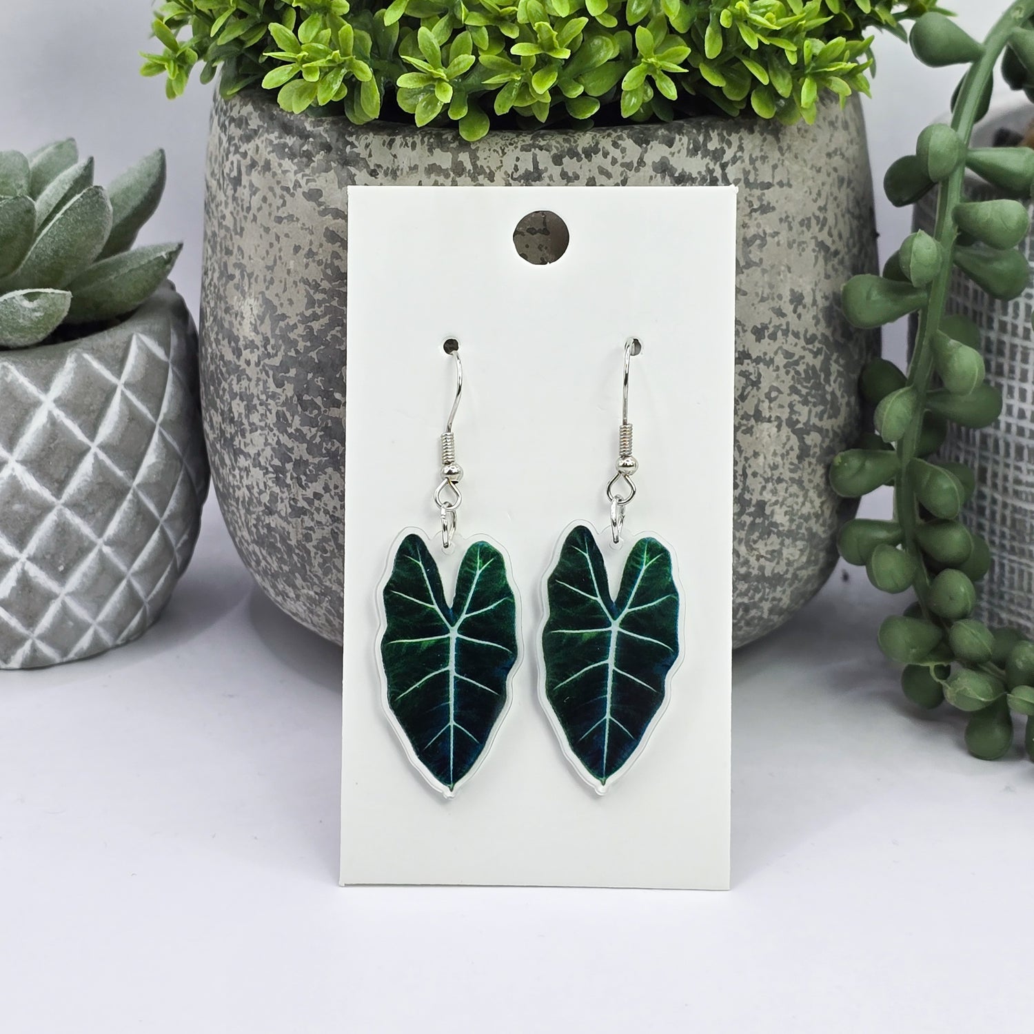 Alocasia Frydek Acrylic Plant Dangle Earrings