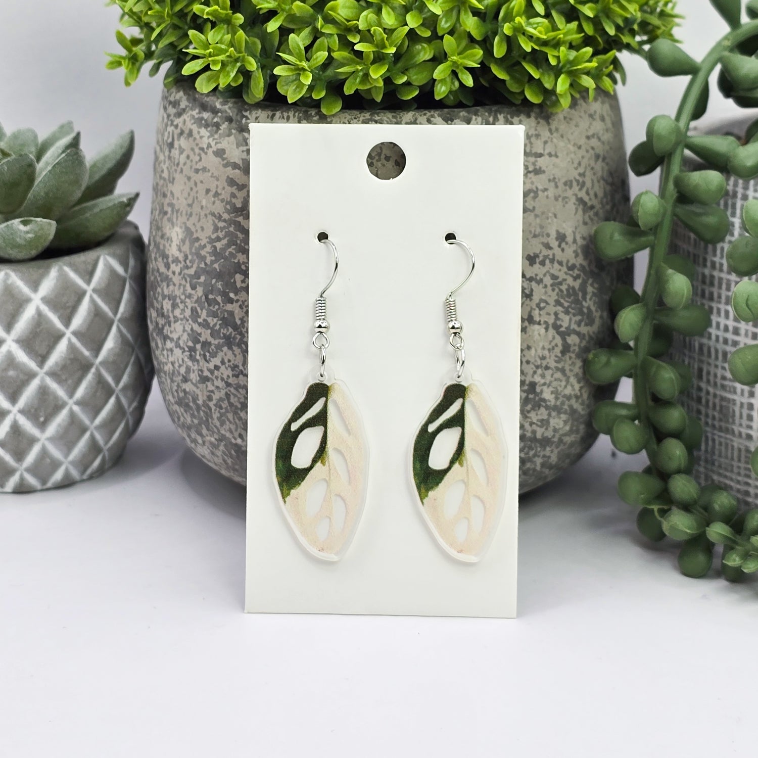 Monstera Adansonii Albo Variegated Acrylic Plant Dangle Earrings