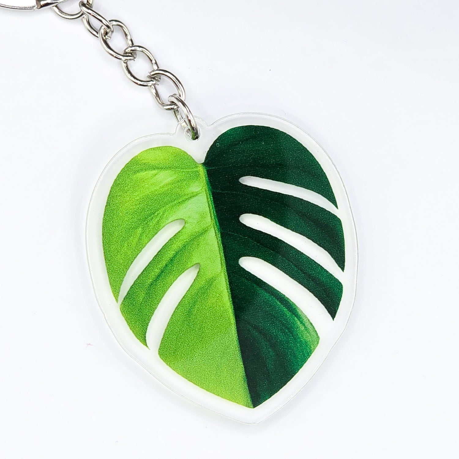 Monstera Aurea Variegated Acrylic Keyring