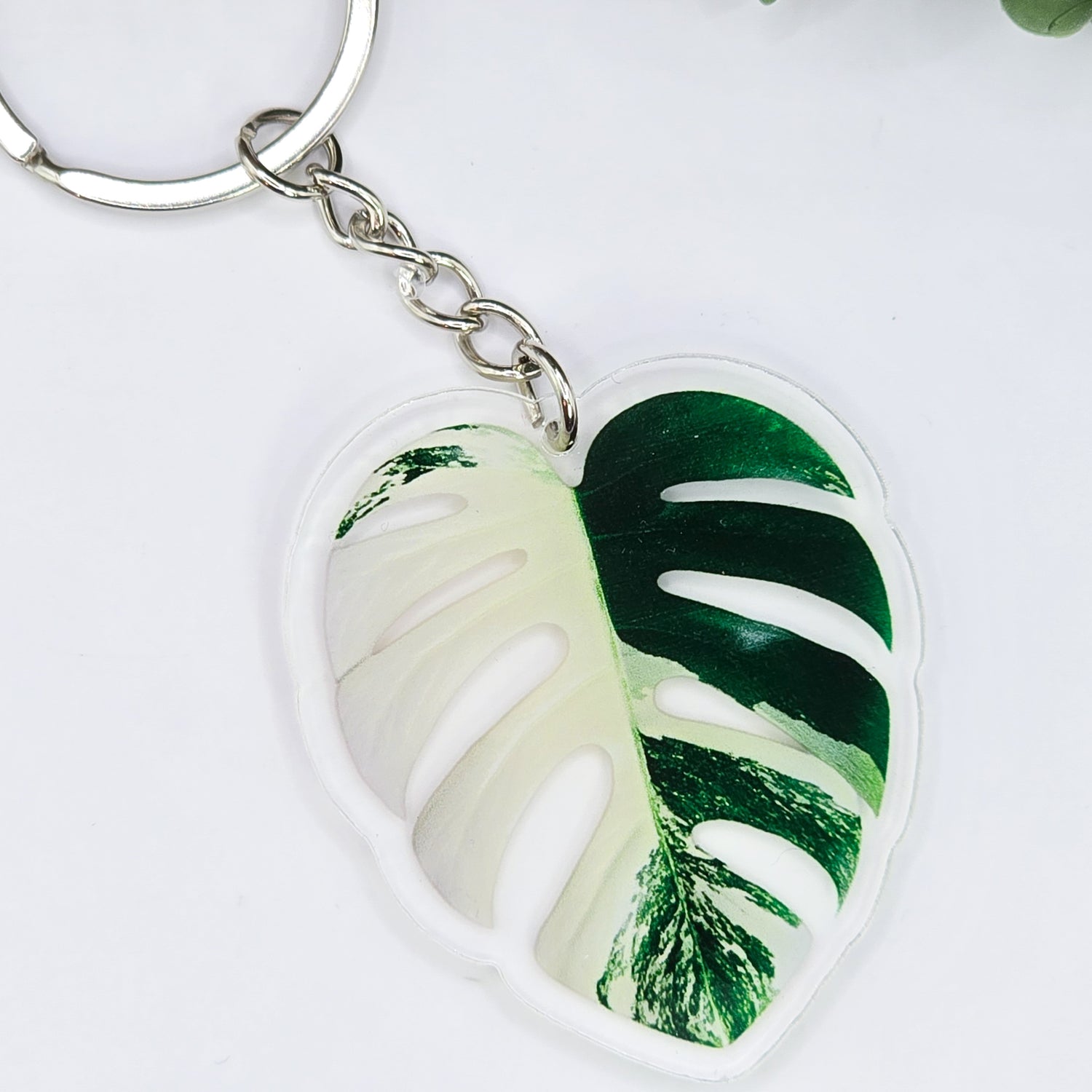 Monstera Albo Variegated Acrylic Keyring