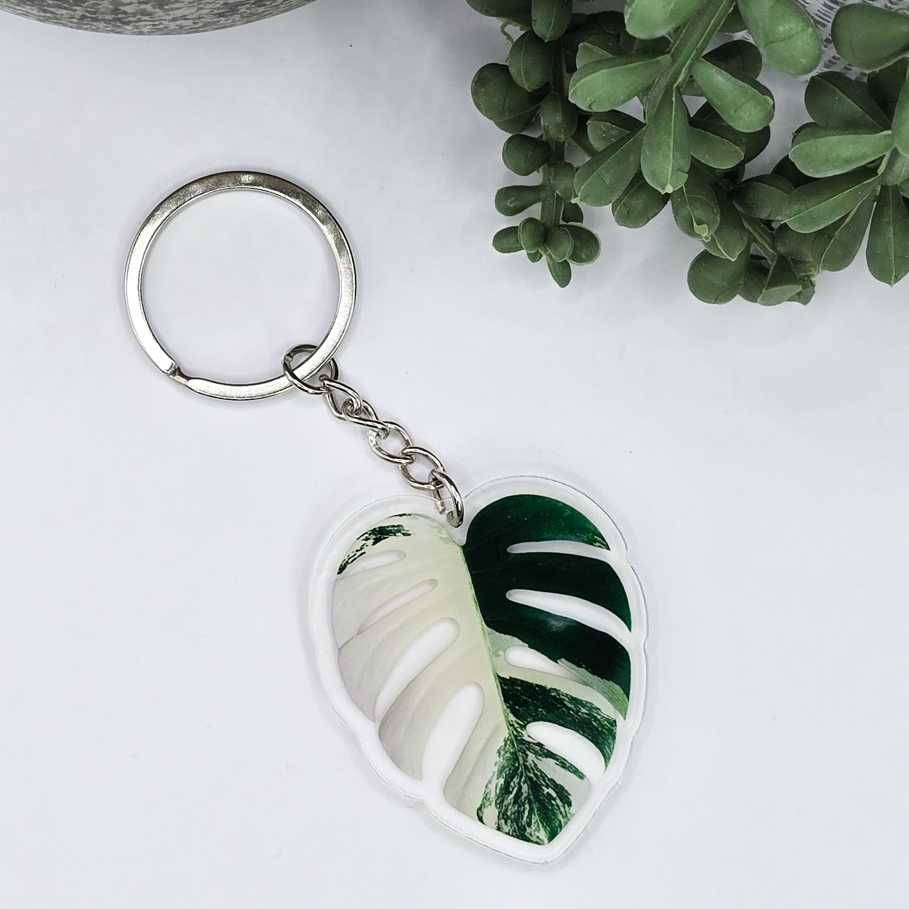 Rare Monstera Borsigiana Albo Variegated Halfmoon acrylic keyring 