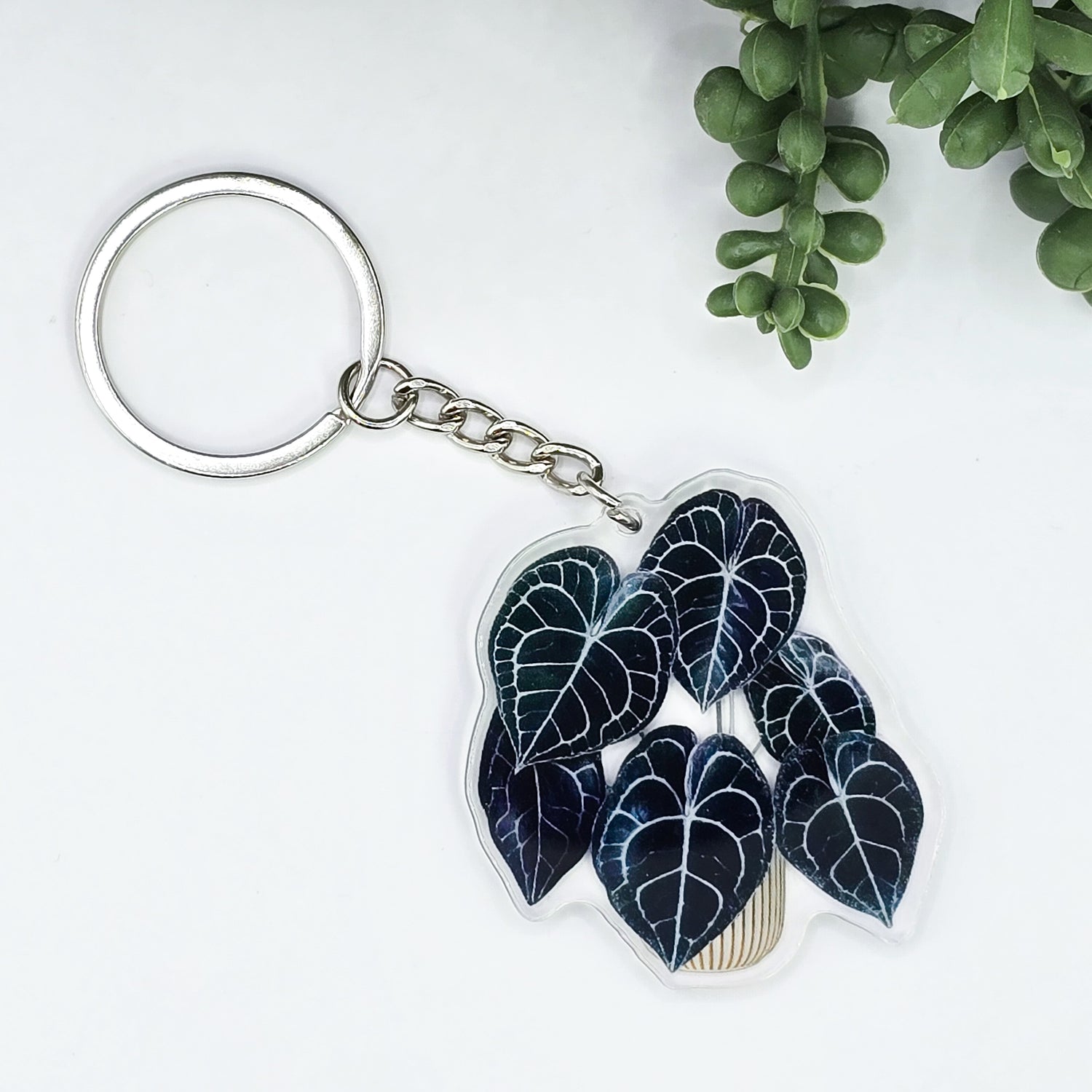 Anthurium Clarinervium Potted Acrylic Keyring