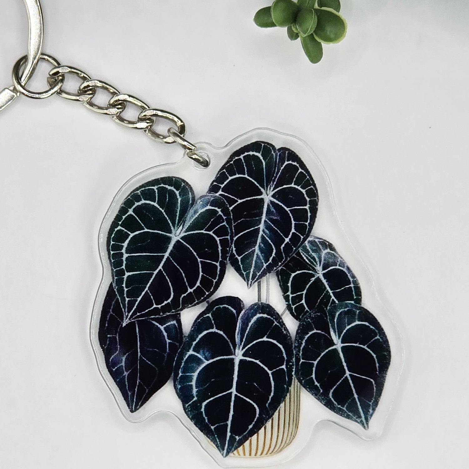 Anthurium Clarinervium Potted Acrylic Keyring