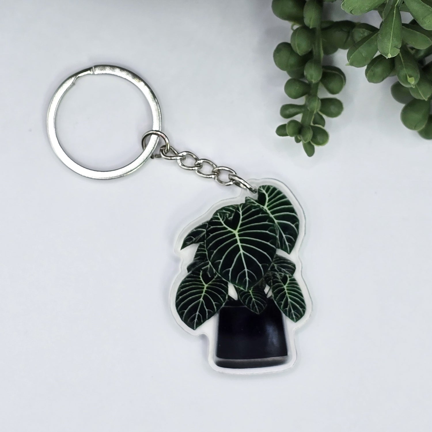 Anthurium Regale Potted Acrylic Keyring