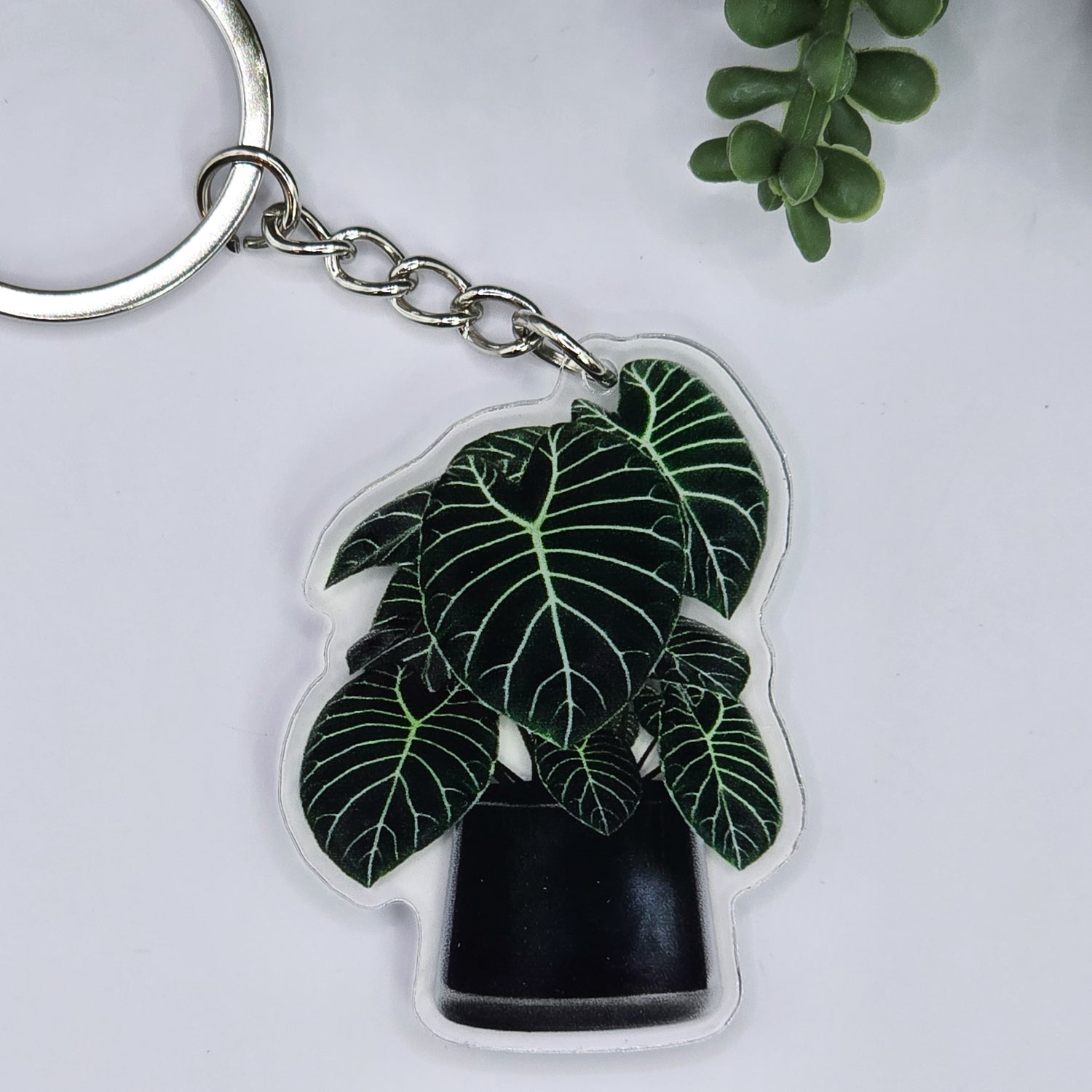 Anthurium Regale Potted Acrylic Keyring