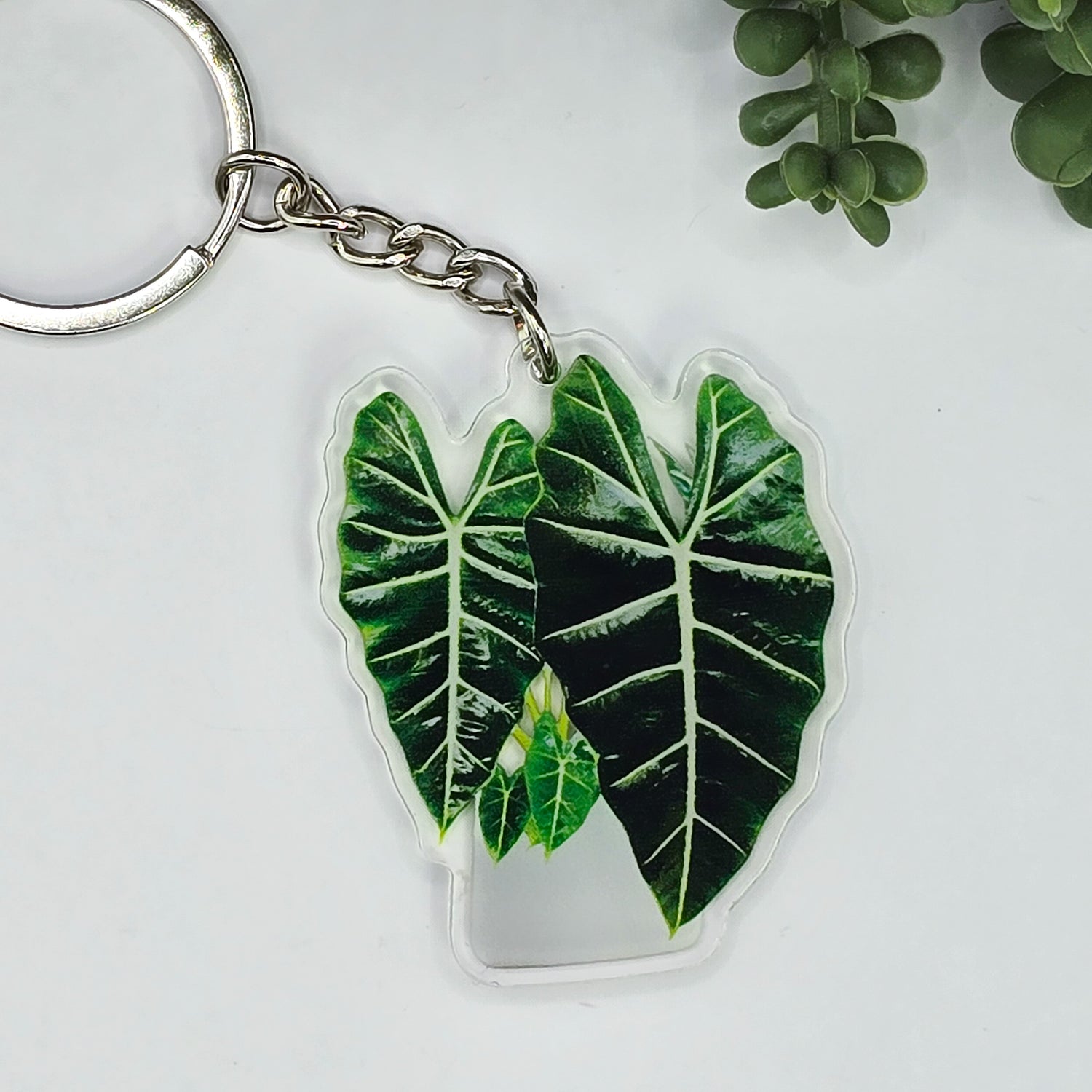 Alocasia Frydek Potted Acrylic Keyring