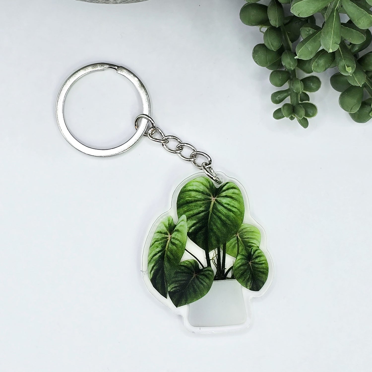 Philodendron Potted Houseplant Acrylic Keyring