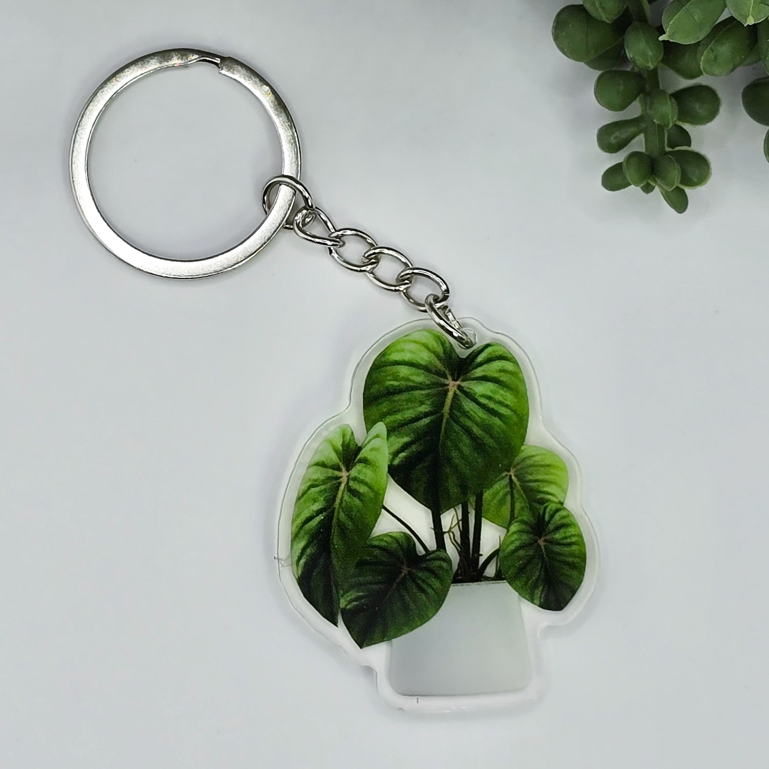 Philodendron Potted Houseplant Acrylic Keyring