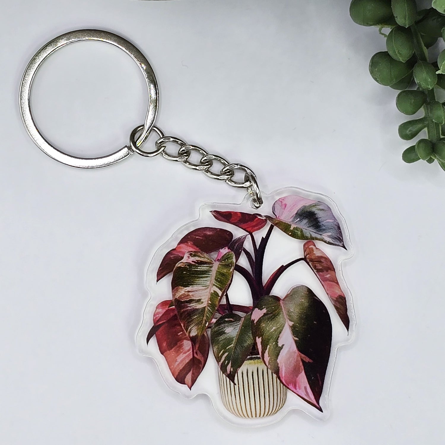 Philodendron Pink Princess Potted Acrylic Keyring