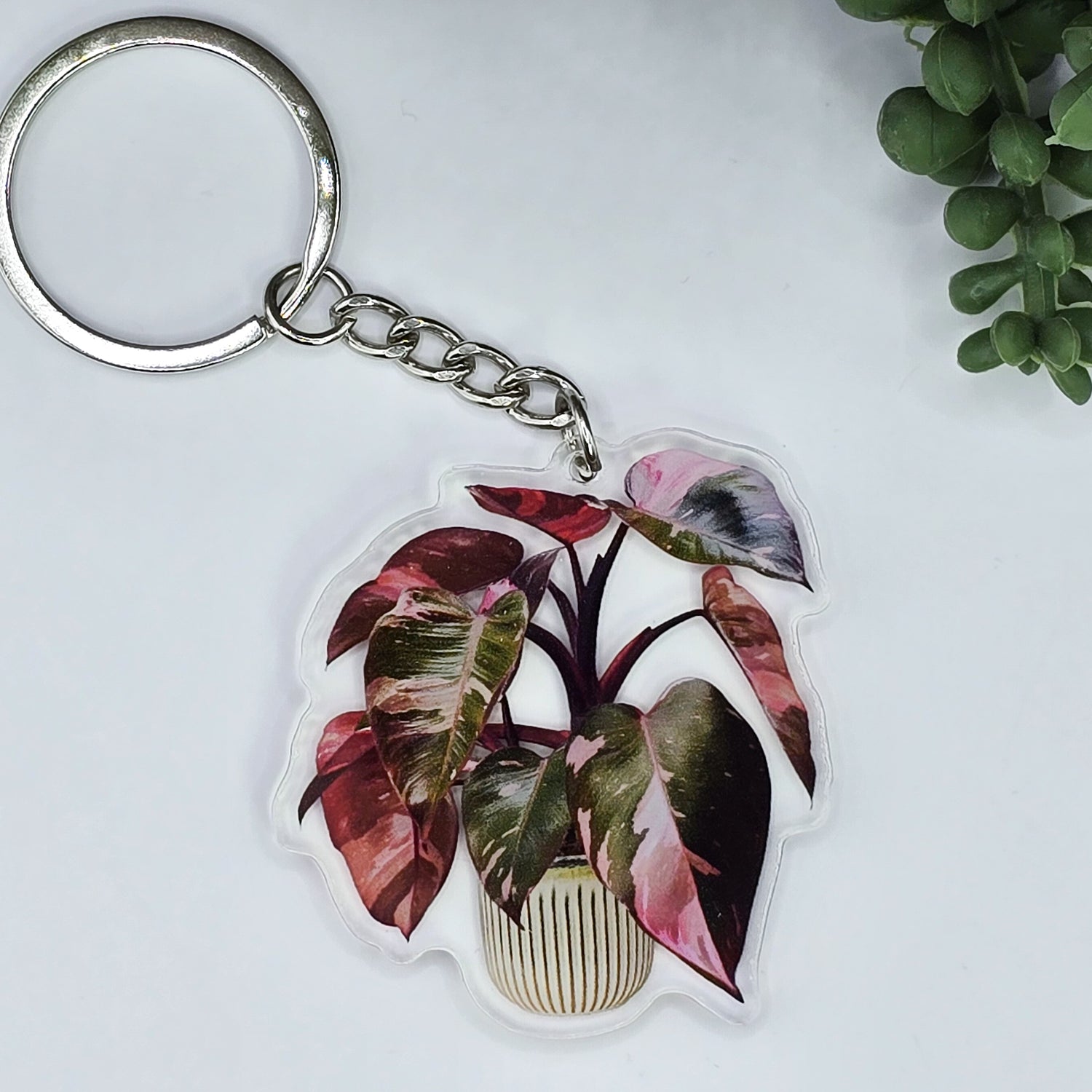 Philodendron Pink Princess Potted Acrylic Keyring