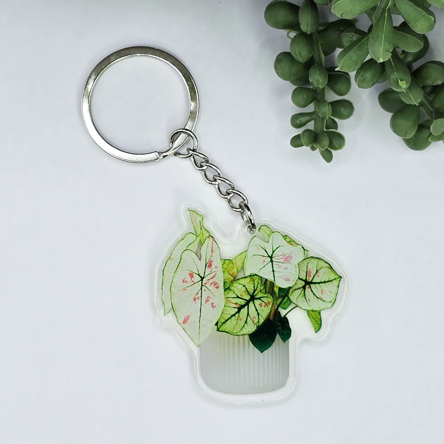 Caladium Potted Houseplant Acrylic Keyring