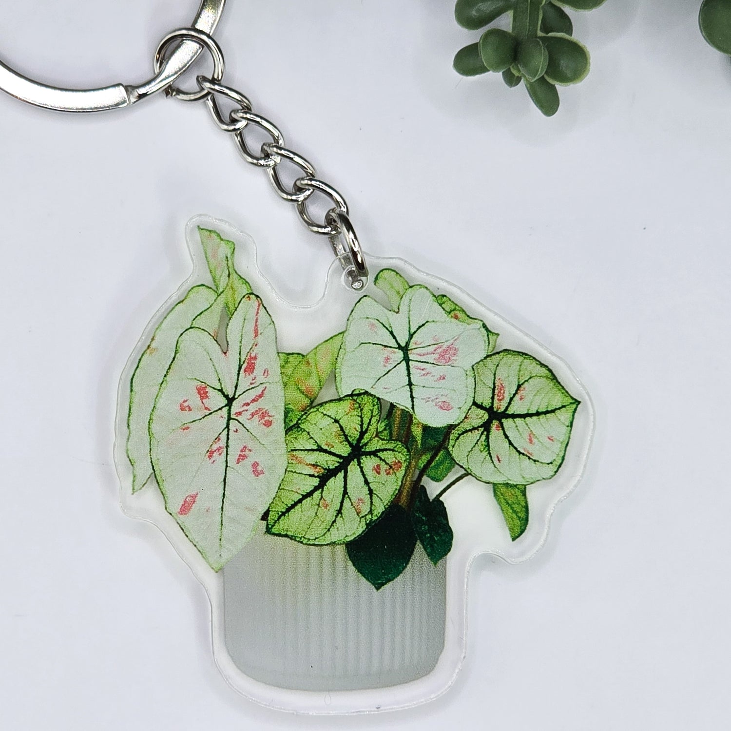 Caladium Potted Houseplant Acrylic Keyring