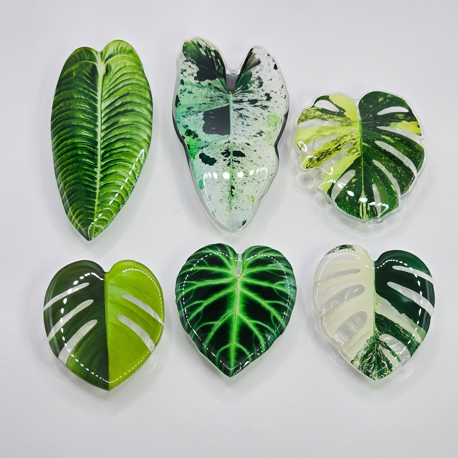 Rare Houseplants Mobile Phone Grips - 6 to choose from