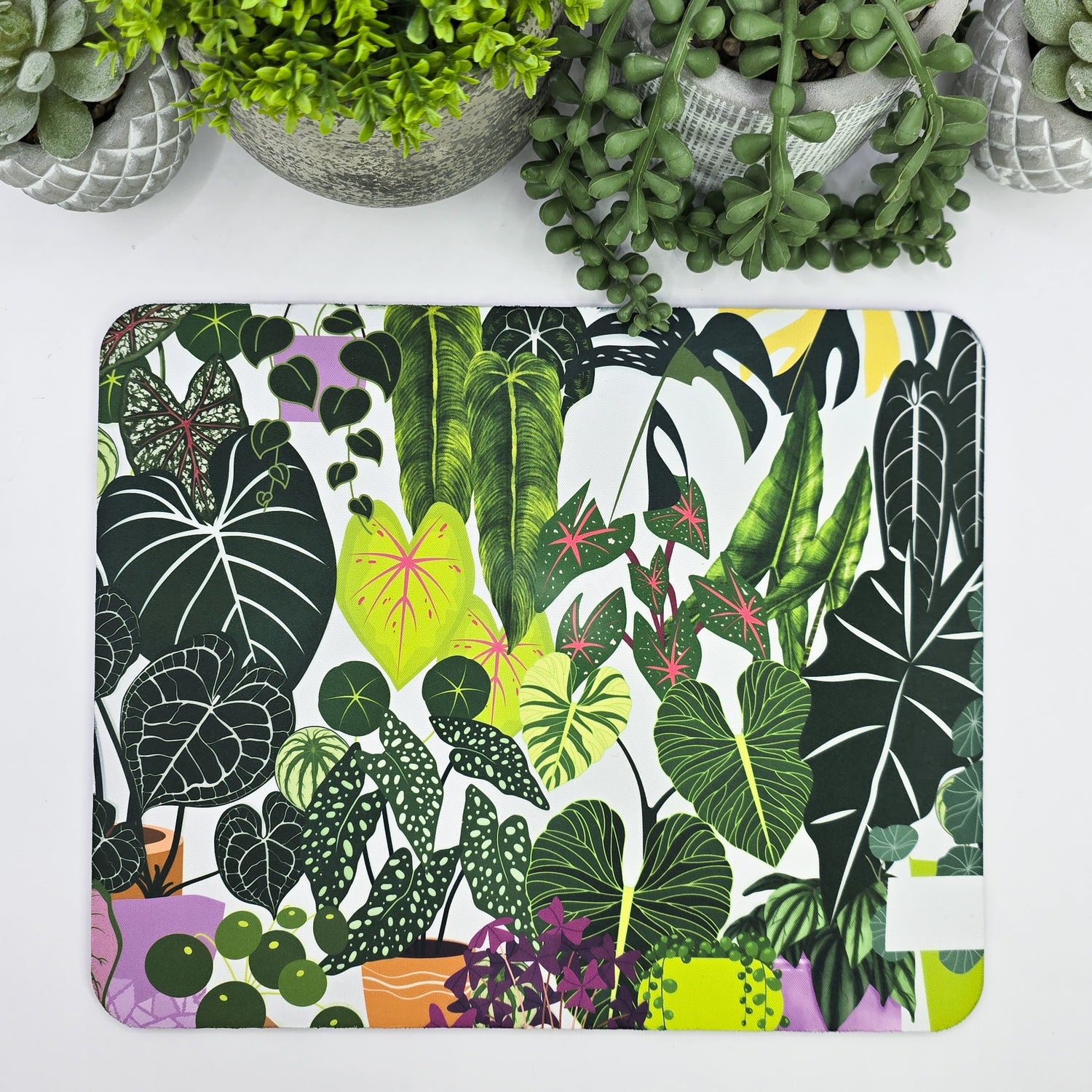 🔥Clearance🔥 'My Plantasy' Houseplants Jungle Mousepad (imperfect)