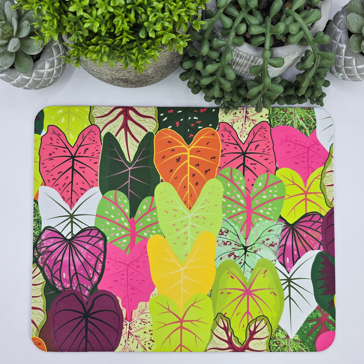 Colorful Caladium leaf patterned mouse pad with potted plants in the background