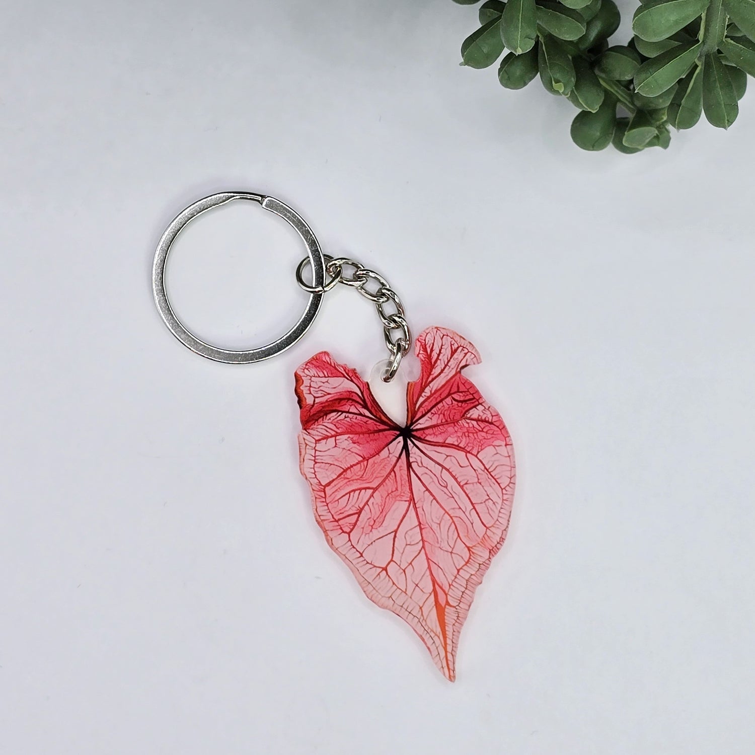 Red Caladium Acrylic Houseplant Keyring