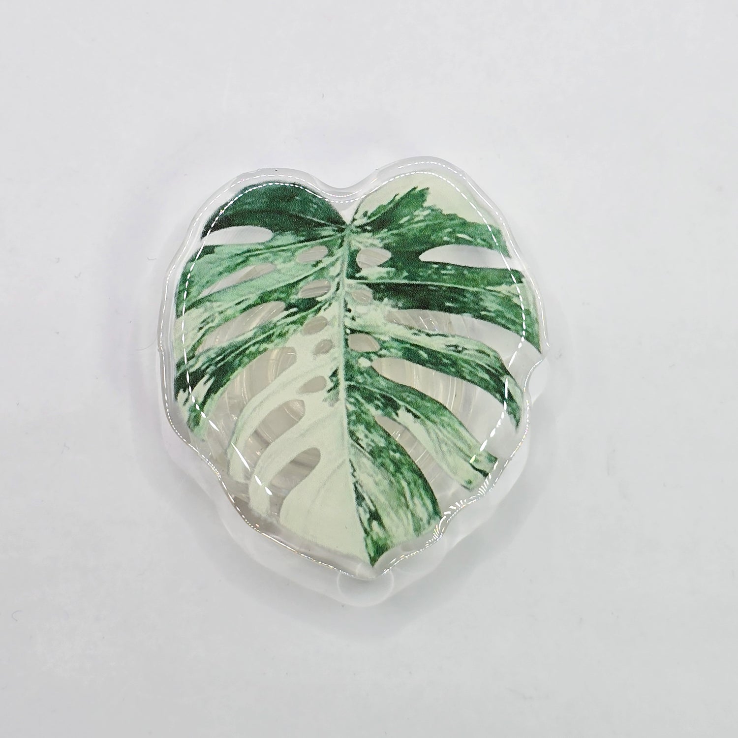 Monstera Albo Variegated Mobile Phone Grip/holder