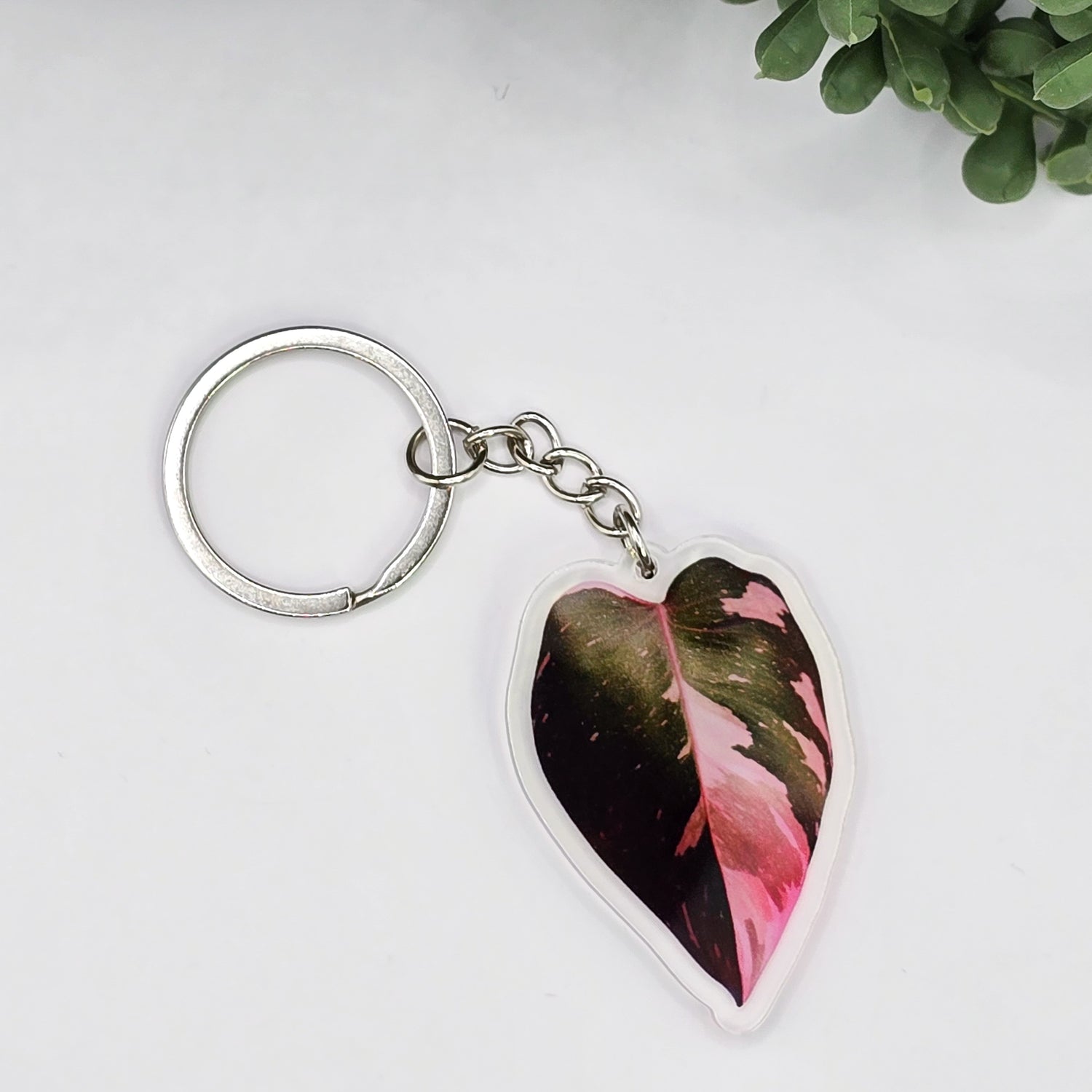 Philodendron Pink Princess Acrylic Houseplant Keyring