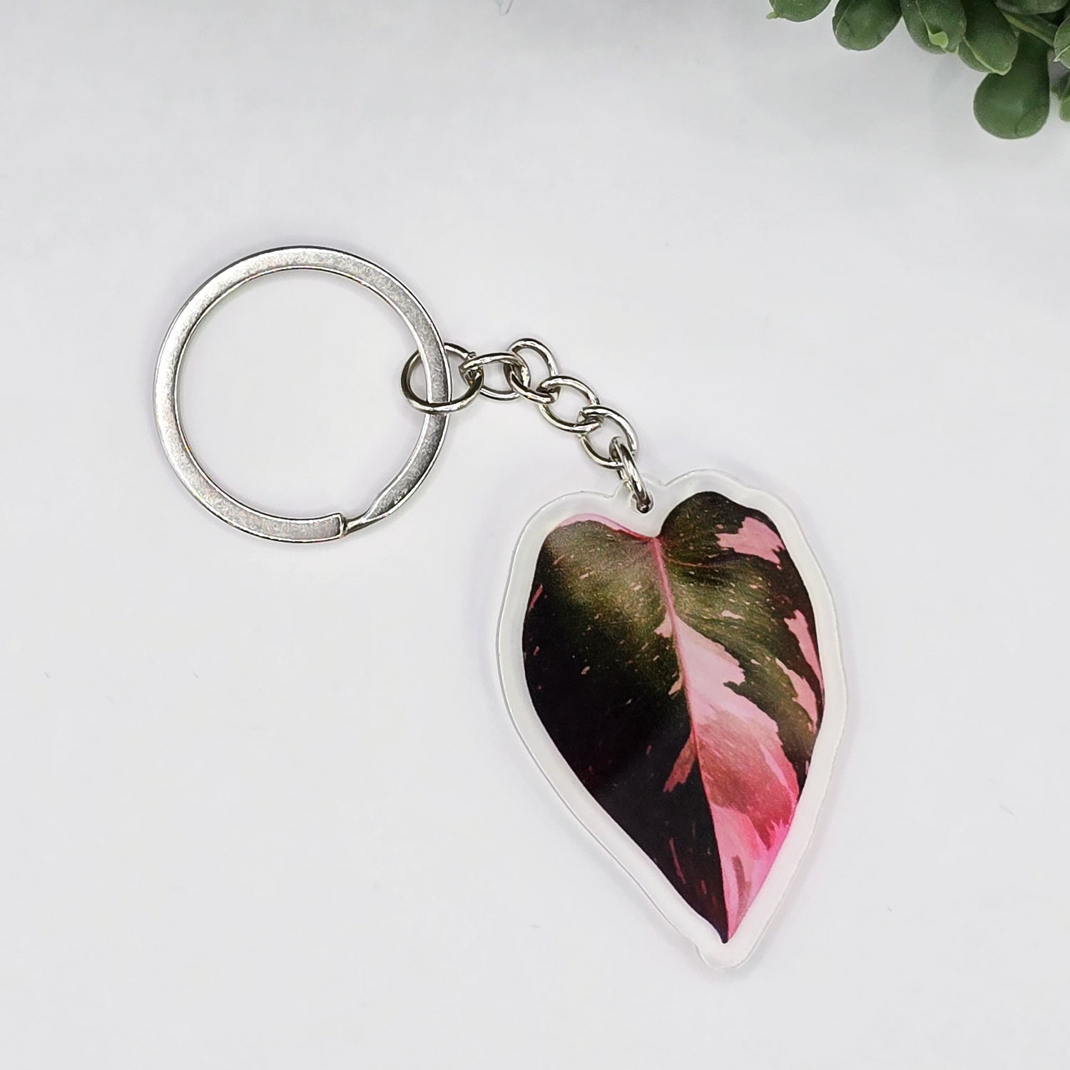 Philodendron Pink Princess Acrylic Houseplant Keyring