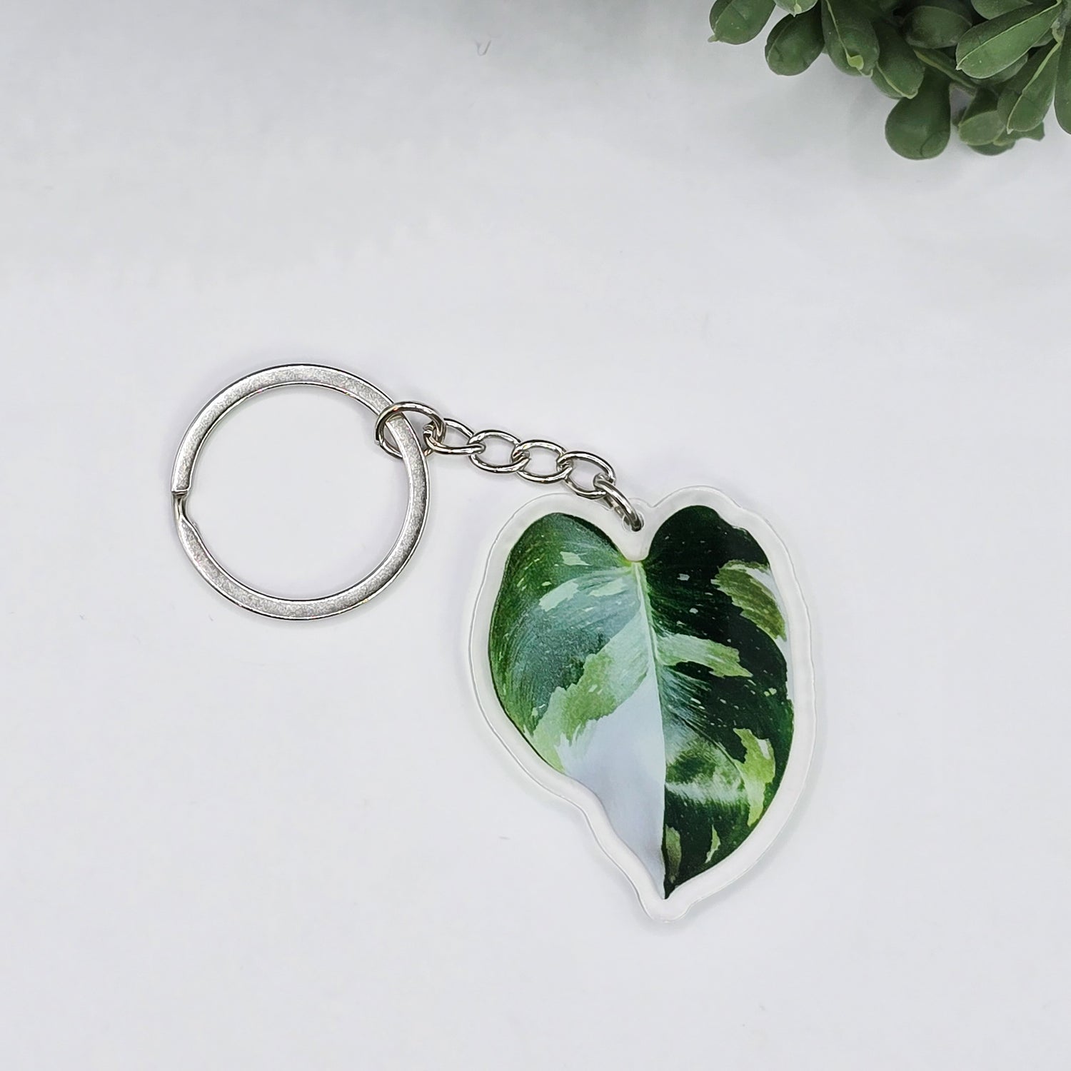 Philodendron White Princess Acrylic Houseplant Keyring