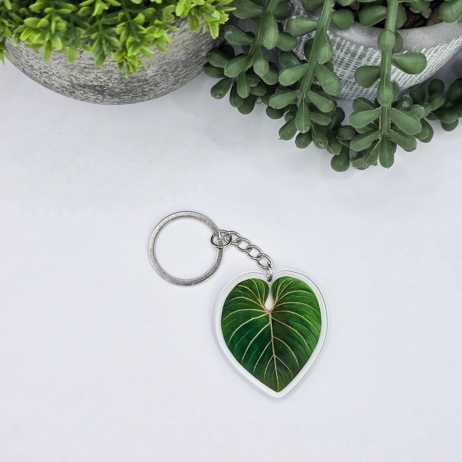 Philodendron Gloriosum Acrylic Houseplant Keyring