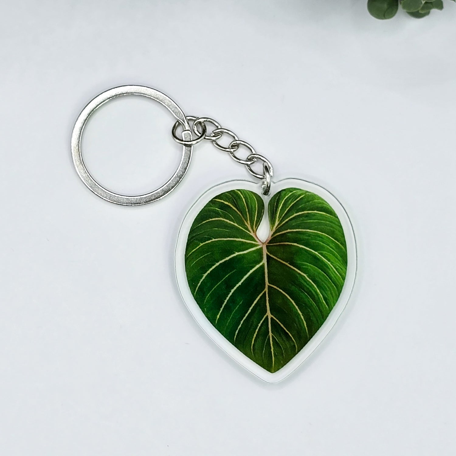 Philodendron Gloriosum Acrylic Houseplant Keyring