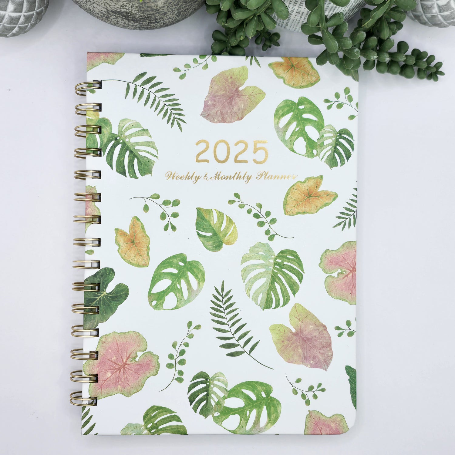 Weekly & Monthly Planners - avail in Houseplants or Cactus Design